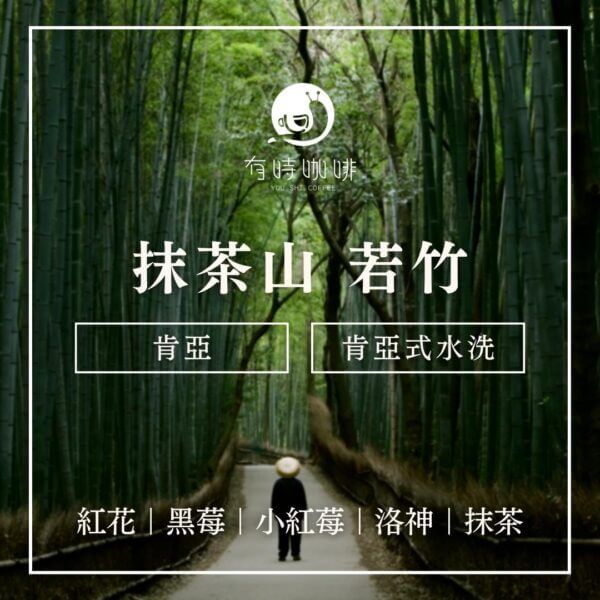 抹茶山 若竹｜肯亞｜肯亞式水洗