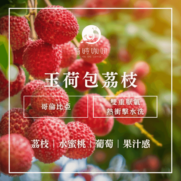 玉荷包茘枝｜哥倫比亞｜雙重厭氧熱衝擊水洗