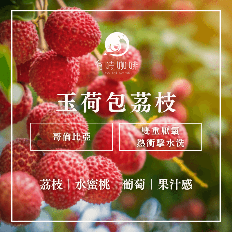 玉荷包茘枝｜哥倫比亞｜雙重厭氧熱衝擊水洗