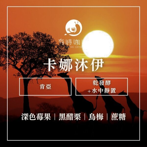 卡娜沐伊｜肯亞 麒麟雅加｜乾發酵+水中靜置