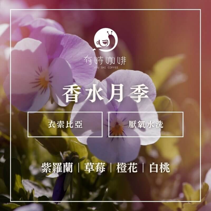 香水月季｜衣索比亞｜厭氧水洗